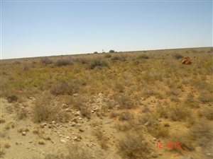 5080 ha Farm in Hopetown