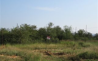 7000 m² Land available in Modimolle