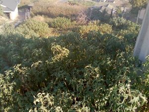 789 m² Land available in Klaarwater