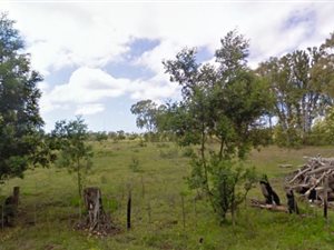 2.2 ha Land available in Greenbushes