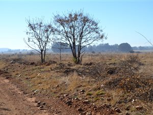 5000 m² Land available in Henley on Klip