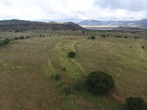 1133 ha Farm in Aliwal North