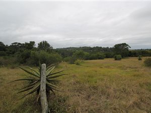 1.7 ha Land available in Bathurst and Surrounds