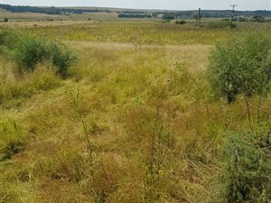 100 ha Farm in Groot Marico