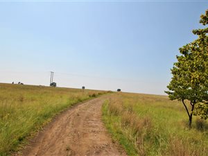 72 ha Land available in Oranjeville