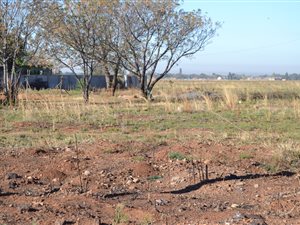 1983 m² Land available in Henley on Klip