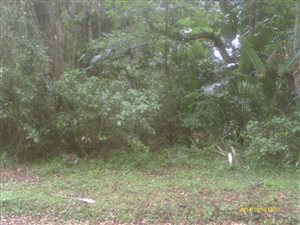 1018 m² Land available in Leisure Bay