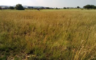 869 m² Land available in Parys Golf Estate
