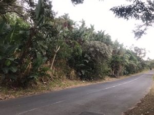 4749 m² Land available in Ramsgate