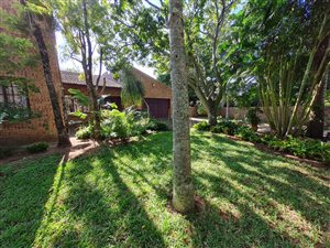 4 Bed House in St Lucia