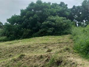 1024 m² Land available in Parlock