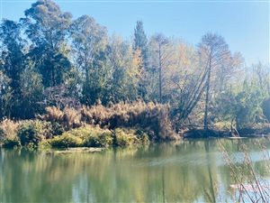 401 ha Farm in Magaliesburg