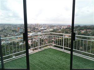 3 Bed Apartment in Musgrave