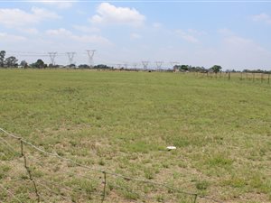 2.1 ha Land available in Buyscelia