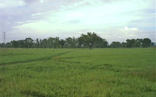 4.3 ha Land available in Bloemspruit