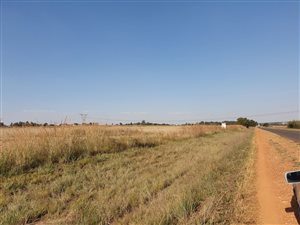 4.3 ha Land available in Tiegerpoort