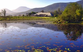 31 ha Farm in Natures Valley