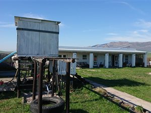 3.5 ha Farm in Tesselaarsdal