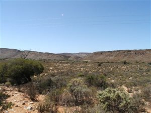 137 ha Farm in Barrydale