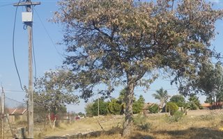 1128 m² Land available in Seshego