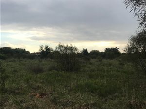 10 ha Land available in Mooikloof Equestrian Estate