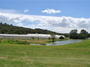 40 ha Farm in Thornhill