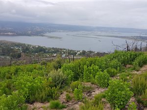 21 ha Farmland in Knysna Central