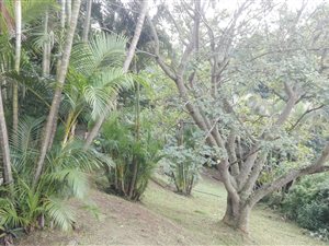 3 Bed House in Amanzimtoti