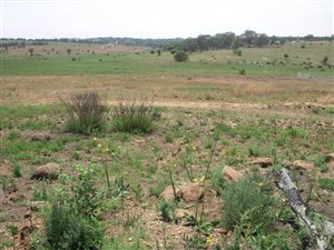 1.1 ha Land available in Doornrandje