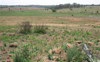 1.1 ha Land available in Doornrandje