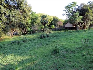 1708 m² Land available in Albany