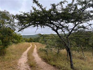 692 ha Farm in Polokwane Central