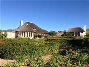 2.8 ha Farm in Stellenbosch Agricultural
