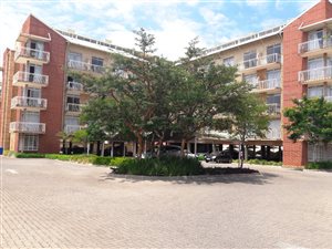 1 Bed Flat in Hillcrest