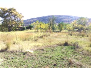 1500 m² Land available in Lady Selborne
