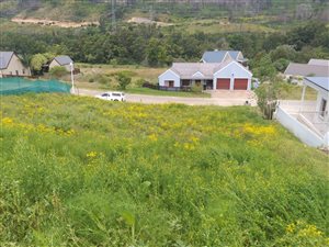 688 m² Land available in Green Pastures