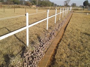 2 ha Farm in Delmas