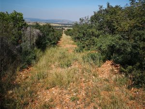 38 ha Farm in Hartbeesfontein