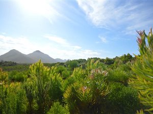 74 ha Farm in Pringle Bay