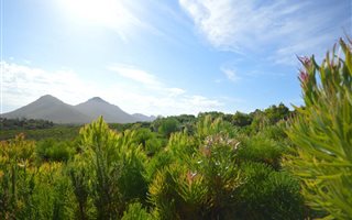 74 ha Farm in Pringle Bay