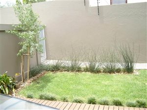 2 Bed Townhouse in Arcadia