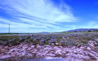 803 m² Land available in Darling