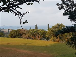 3 Bed Apartment in Woodgrange