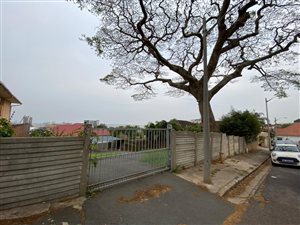533 m² Land available in Musgrave