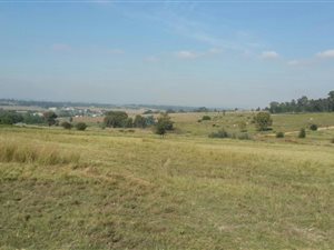 5 ha Land available in Sun Valley