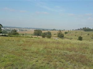 5 ha Land available in Sun Valley