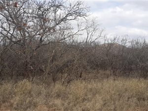 495 m² Land available in Phalaborwa