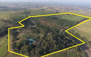 34.5 ha Farmland in Shakaskraal