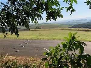 4047 m² Land available in Mtunzini