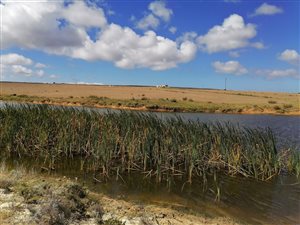 61.5 ha Farm in Baardskeerdersbos